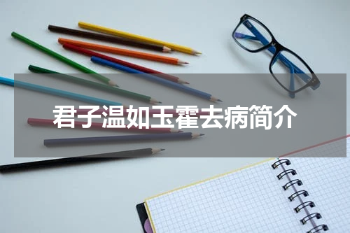 君子温如玉霍去病简介