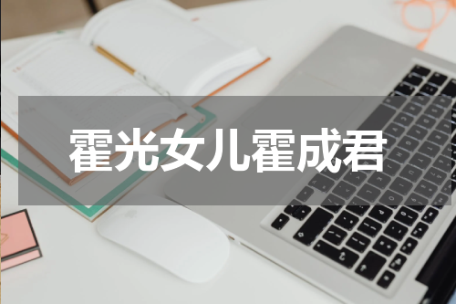 霍光女儿霍成君