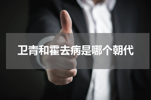卫青和霍去病是哪个朝代