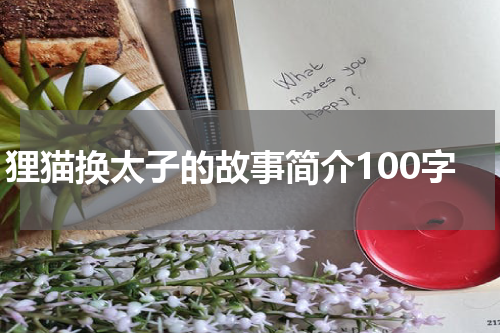 狸猫换太子的故事简介100字