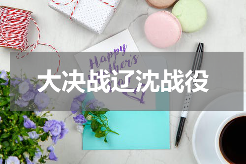 大决战辽沈战役
