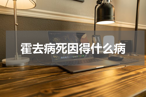 霍去病死因得什么病