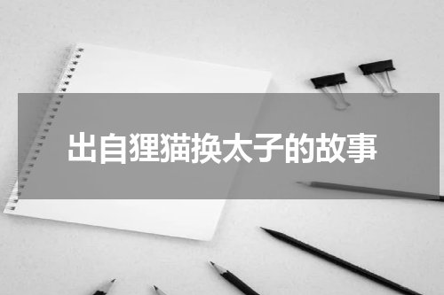 出自狸猫换太子的故事