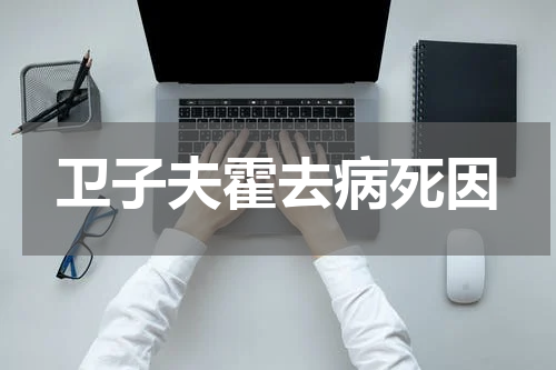 卫子夫霍去病死因