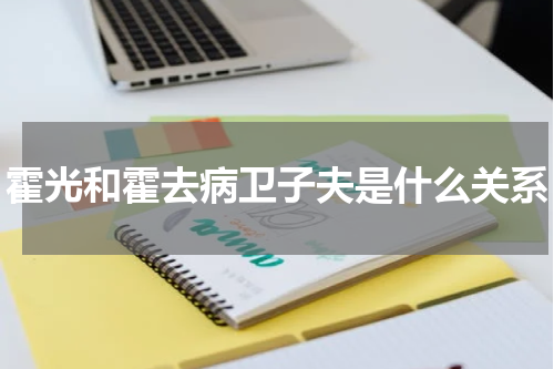 霍光和霍去病卫子夫是什么关系