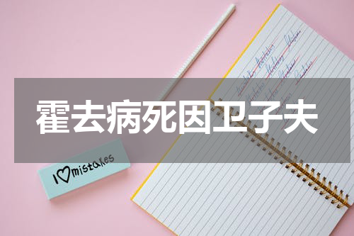 霍去病死因卫子夫