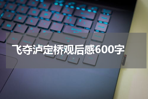 飞夺泸定桥观后感600字