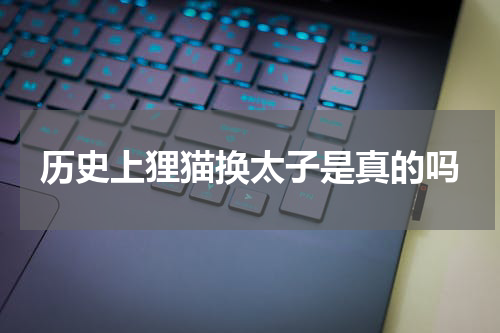 历史上狸猫换太子是真的吗