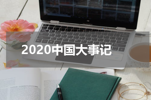 2020中国大事记