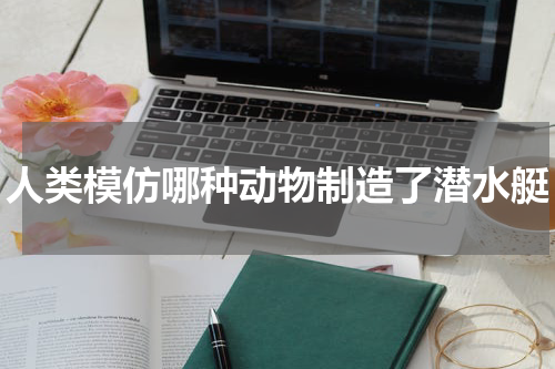 人类模仿哪种动物制造了潜水艇
