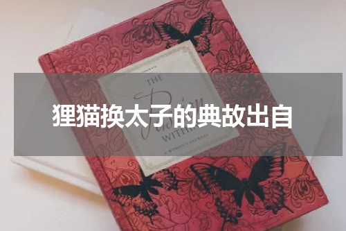 狸猫换太子的典故出自