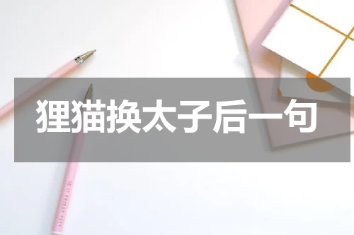 狸猫换太子后一句