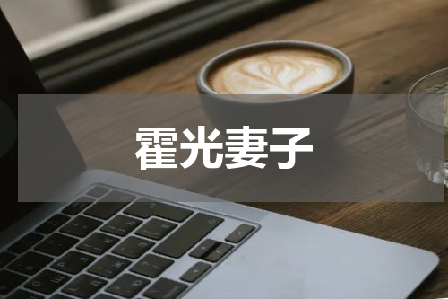 霍光妻子