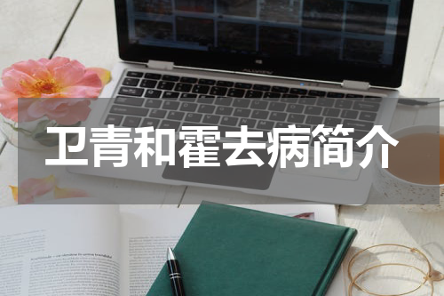卫青和霍去病简介