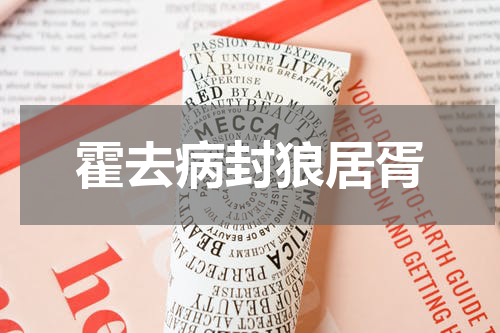 霍去病封狼居胥