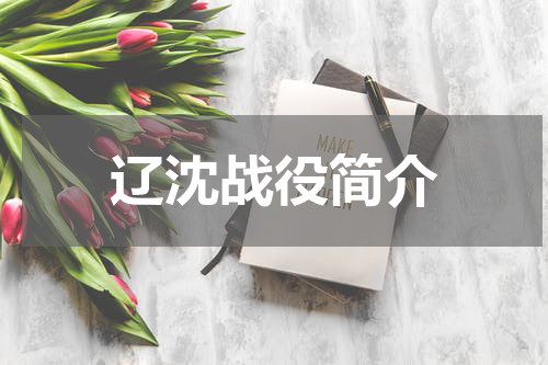 辽沈战役简介