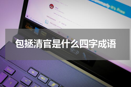 包拯清官是什么四字成语