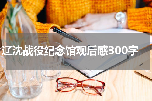 辽沈战役纪念馆观后感300字