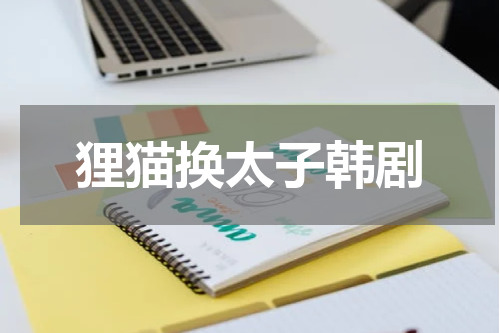 狸猫换太子韩剧