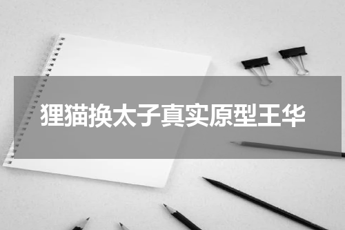狸猫换太子真实原型王华
