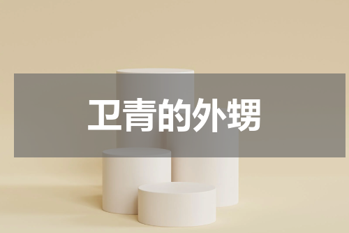 卫青的外甥