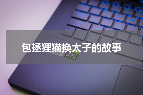 包拯狸猫换太子的故事