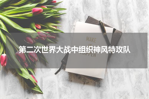 第二次世界大战中组织神风特攻队