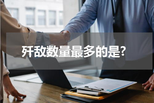歼敌数量最多的是?