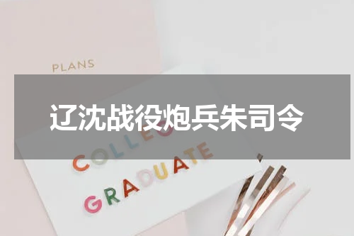 辽沈战役炮兵朱司令