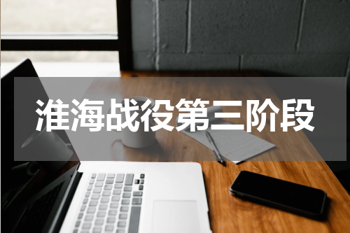 淮海战役第三阶段