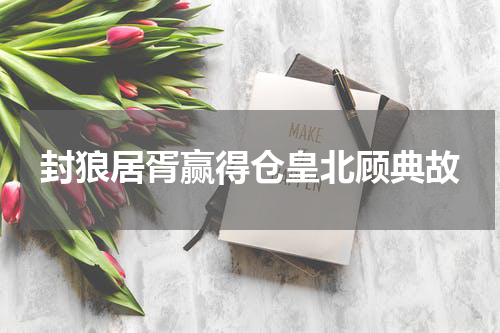 封狼居胥赢得仓皇北顾典故
