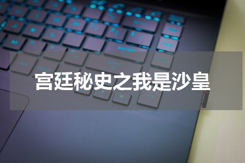 宫廷秘史之我是沙皇