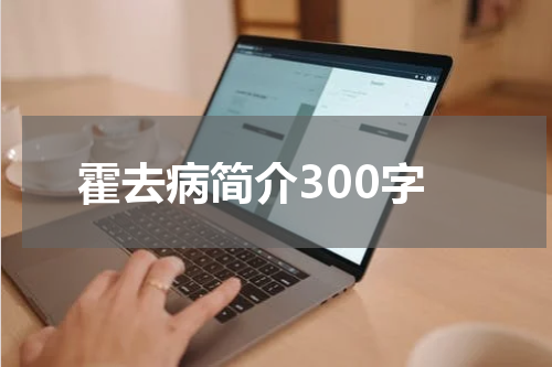 霍去病简介300字
