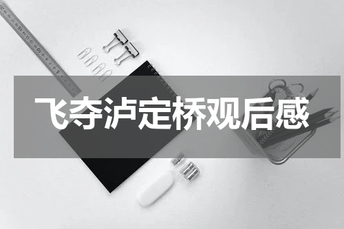 飞夺泸定桥观后感