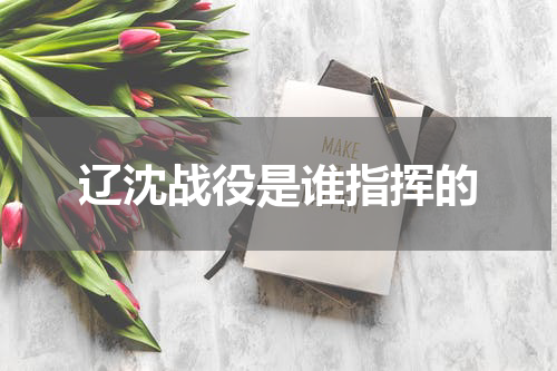 辽沈战役是谁指挥的