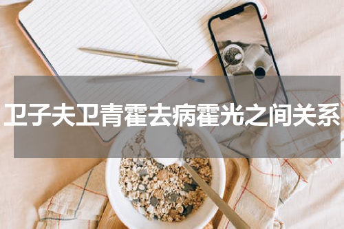 卫子夫卫青霍去病霍光之间关系