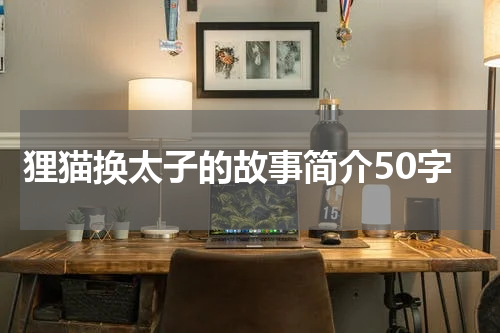 狸猫换太子的故事简介50字