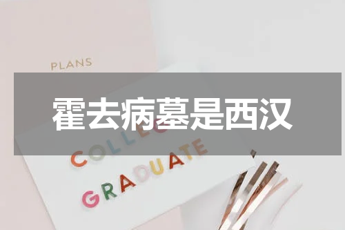 霍去病墓是西汉