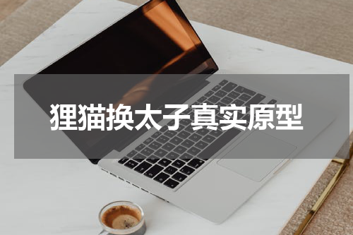 狸猫换太子真实原型