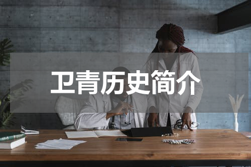 卫青历史简介