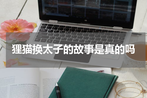 狸猫换太子的故事是真的吗