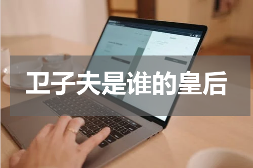 卫子夫是谁的皇后