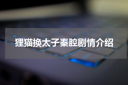 狸猫换太子秦腔剧情介绍