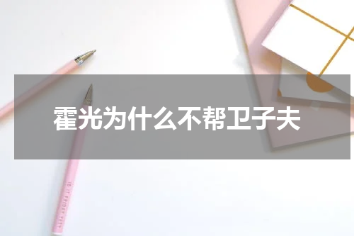 霍光为什么不帮卫子夫