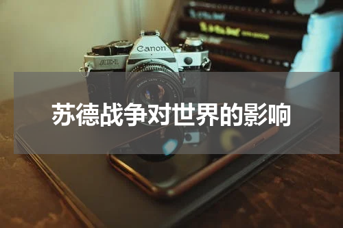 苏德战争对世界的影响