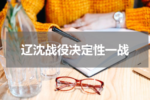 辽沈战役决定性一战