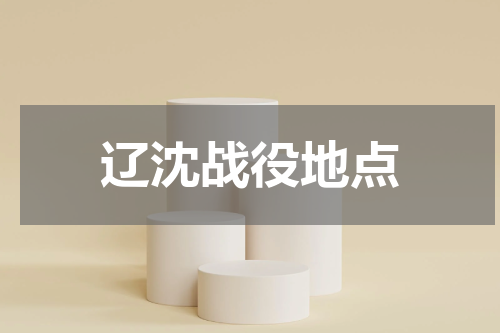 辽沈战役地点