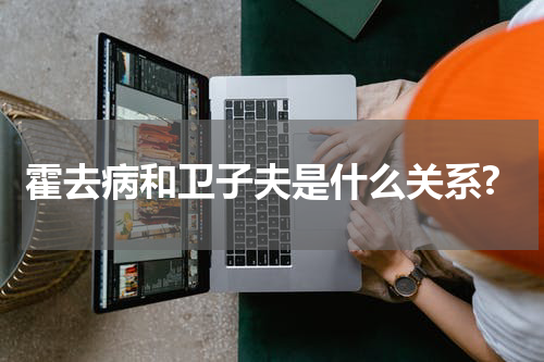 霍去病和卫子夫是什么关系?