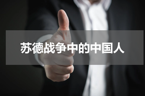 苏德战争中的中国人