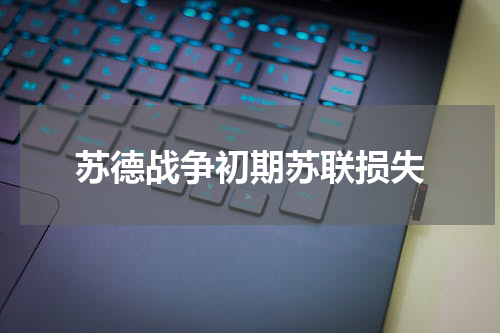 苏德战争初期苏联损失